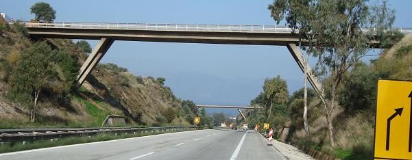 AIGIO.JPG